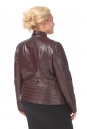 Женская кожаная куртка из натуральной кожи с воротником 0900303-5 вид сзади