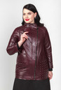 Женская кожаная куртка из натуральной кожи с воротником 0902172