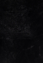 Женское кожаное пальто из натуральной кожи на меху с капюшоном 3600249-4