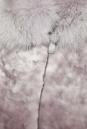 Шуба из мутона с воротником, отделка песец 1300694-7 вид сзади