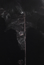 Шуба из мутона с воротником, отделка песец и каракуль 1300702-8 вид сзади