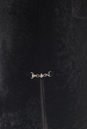 Шуба из астрагана с воротником, отделка норка 1400088-4